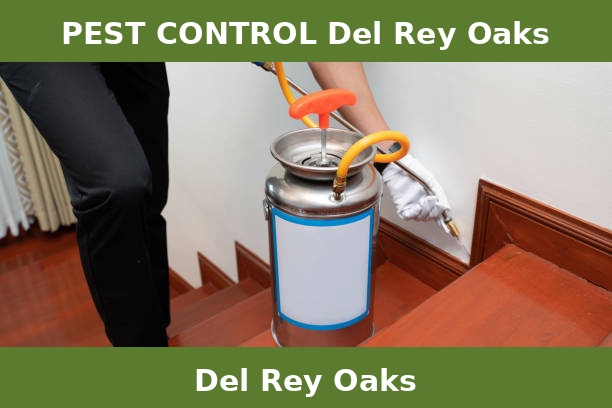 PEST CONTROL Del Rey Oaks
